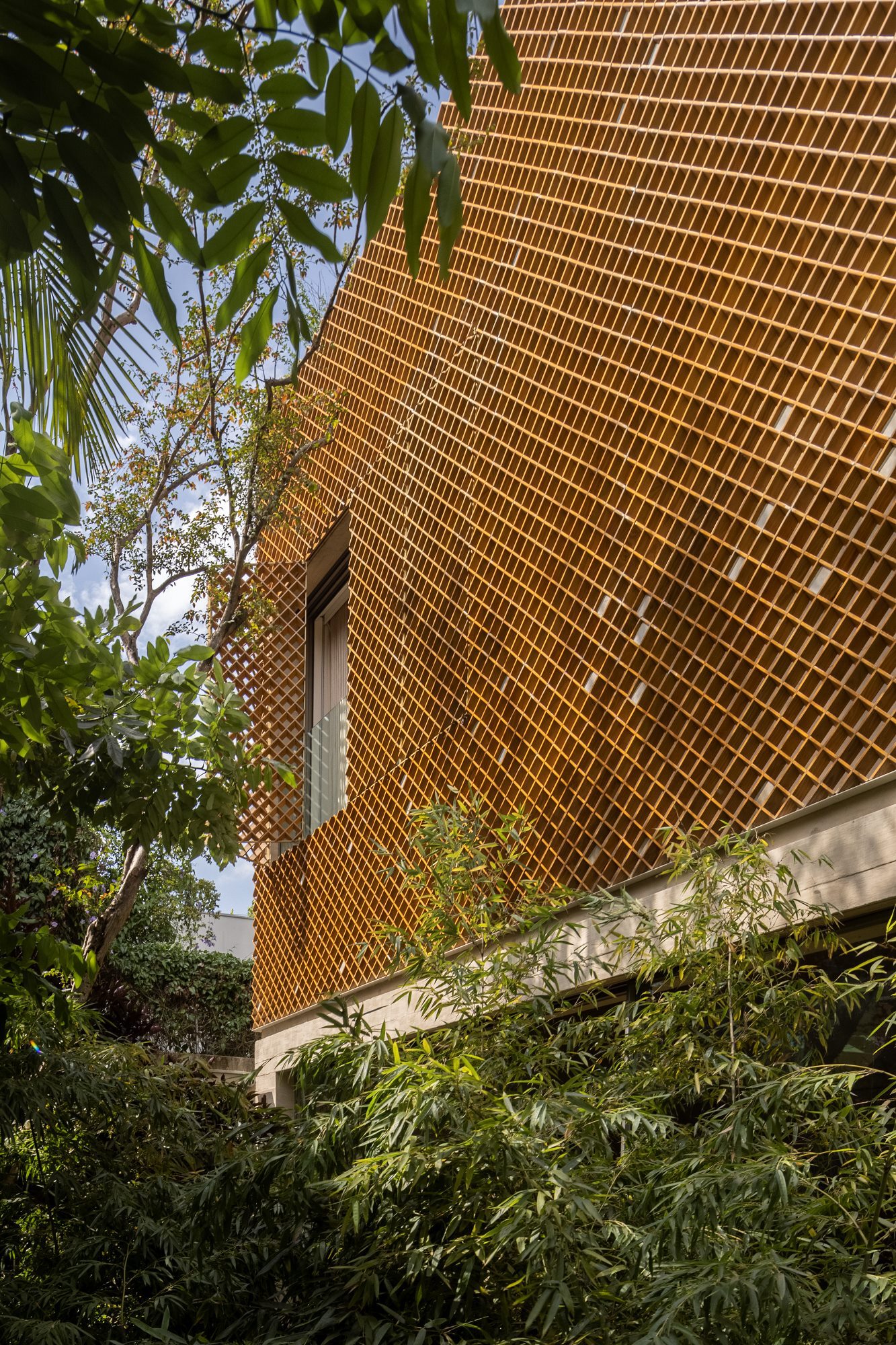 BD 之家丨巴西圣保罗丨Studio Arthur Casas-25