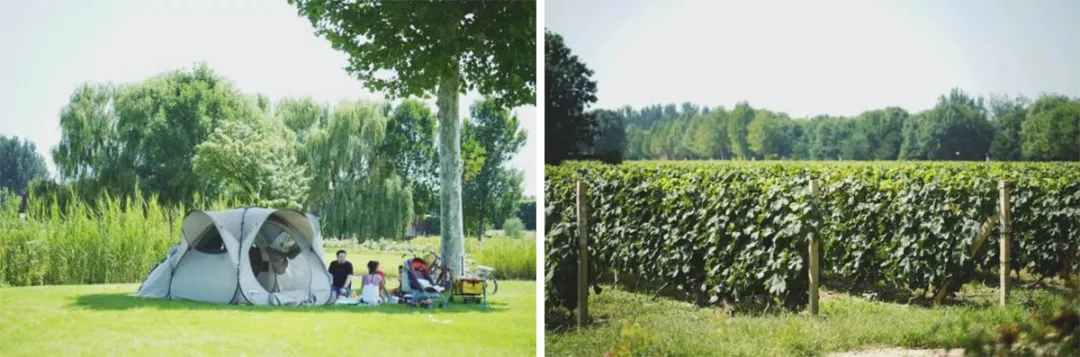 北京圣露庄园整体运营管理项目丨中国北京丨奥雅设计-26