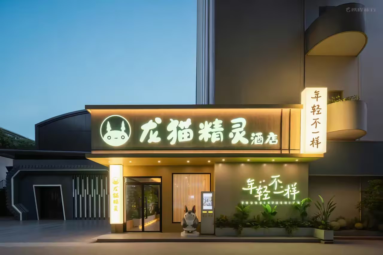 龙猫龙猫精灵系列（广西南宁店）丨中国南宁-6