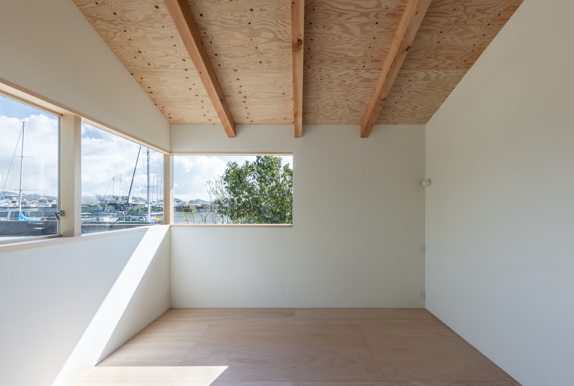 丨日本兵库丨lyhty-37