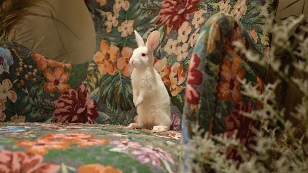 安吉霖溪谷营销中心丨中国湖州丨IF DESIGN羽果设计-14