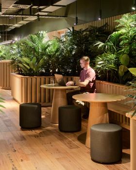 新希望办公室丨澳大利亚悉尼