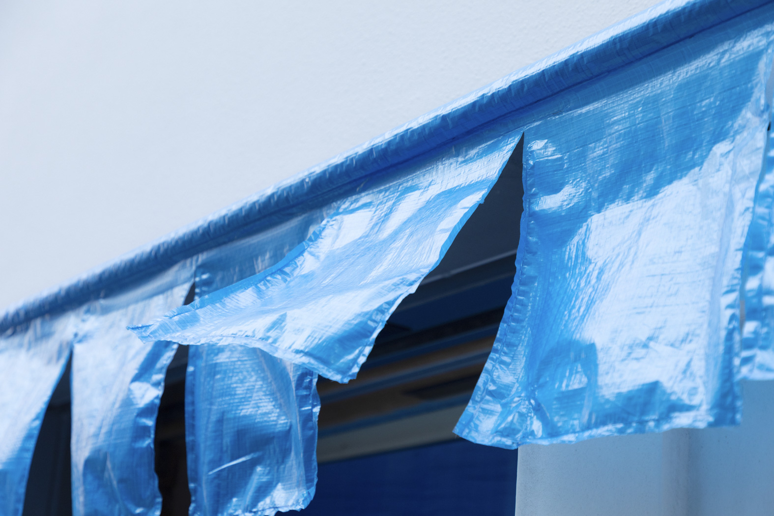 展厅丨日本东京丨Jo Nagasaka,Schemata Architects-1