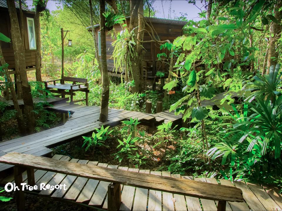 7 บ้านไม้ยกพื้นใต้ถุนสูง แบบไทยโบราณ บรรยากาศร่มรื่น - บ้านสไตล์-35