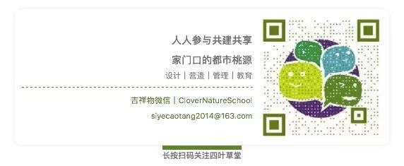 乘风破浪的种子|一个高中屋顶花园的Seeding邀约-90