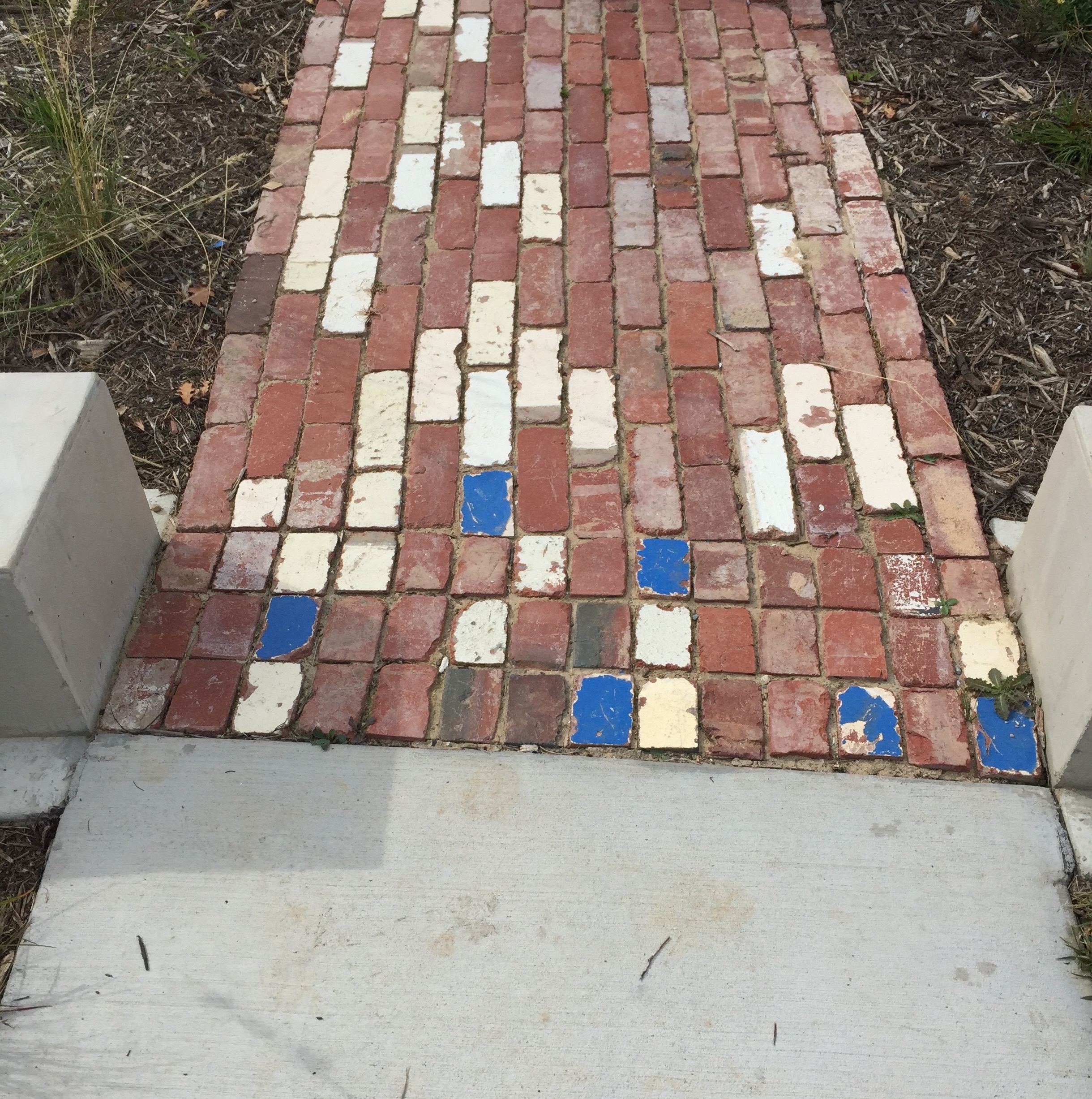 坎贝尔第 5 区生态景观设计丨澳大利亚堪培拉-16