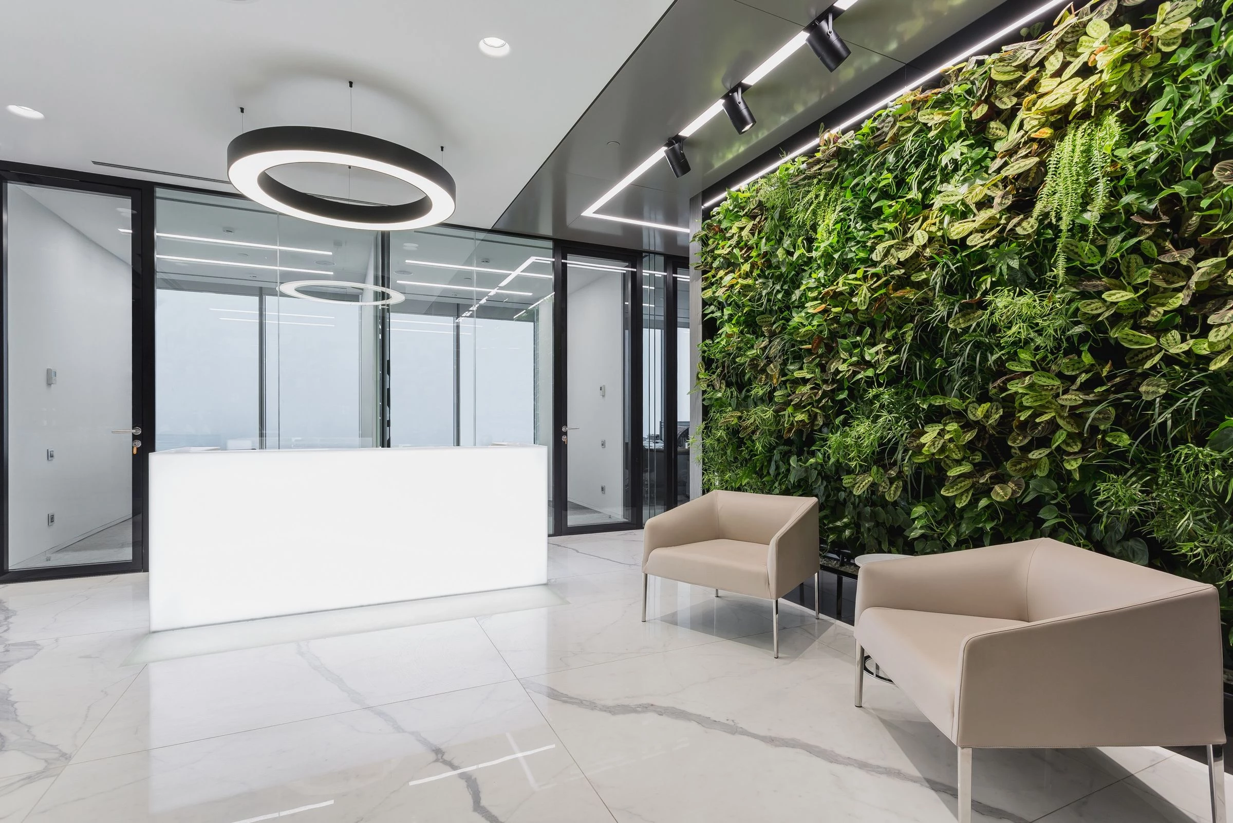 莫斯科自然灵感办公室-27