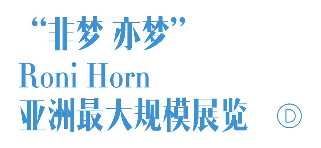 和美术馆“罗尼·霍恩:非梦 亦梦”个展丨中国佛山丨和美术馆,Roni Horn-36