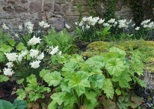 2023 年霍特尔州立花园展

注：Hö·ter可能是一个特定地点名称，若有更准确的信息或标准译法，可按需调整 丨Büro Christian Meyer-1