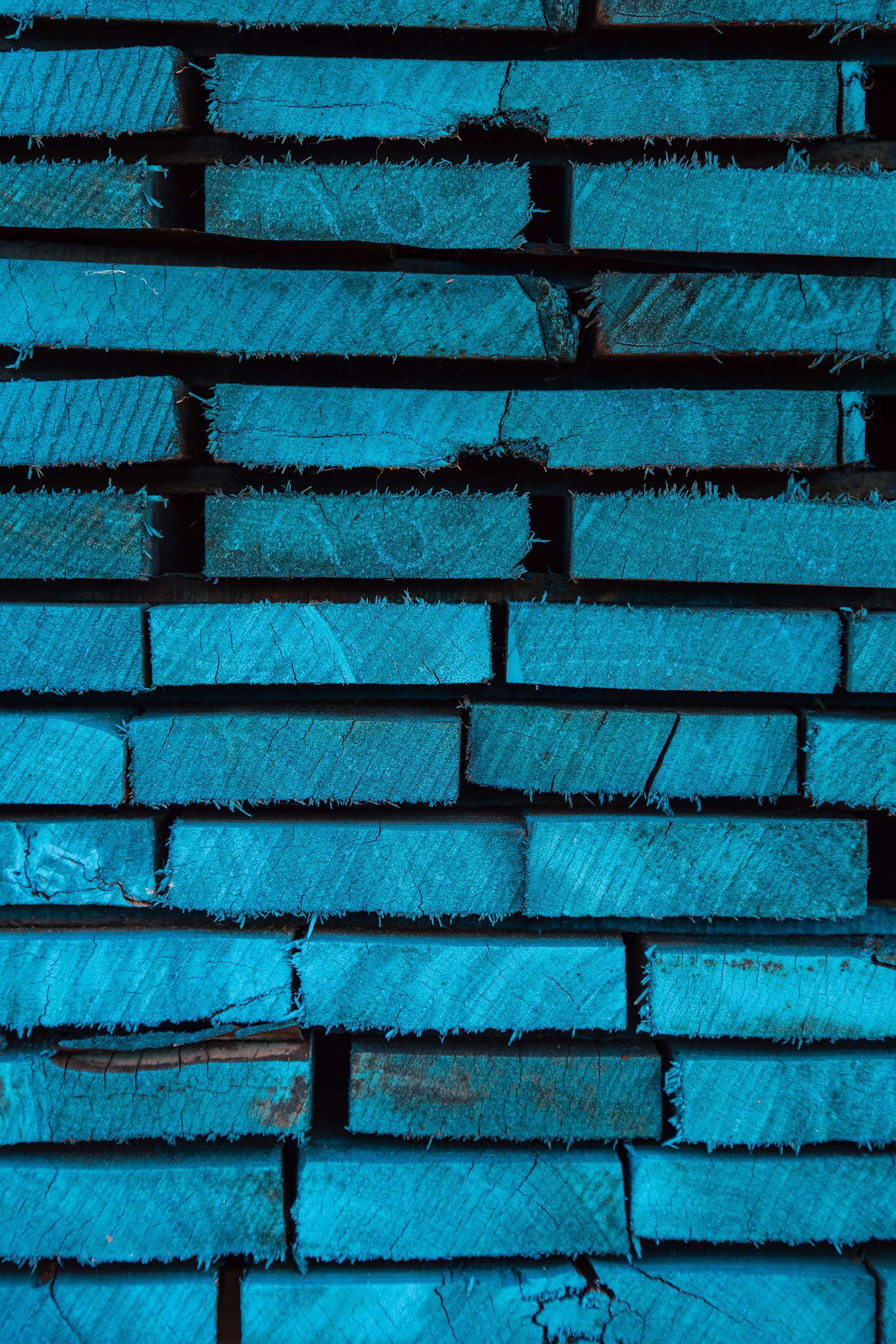 Maderera / Lumber company-8