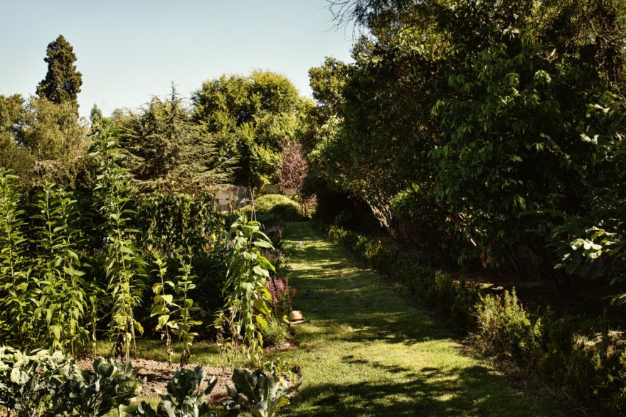 皇家凡尔赛宫室内设计揭秘-13