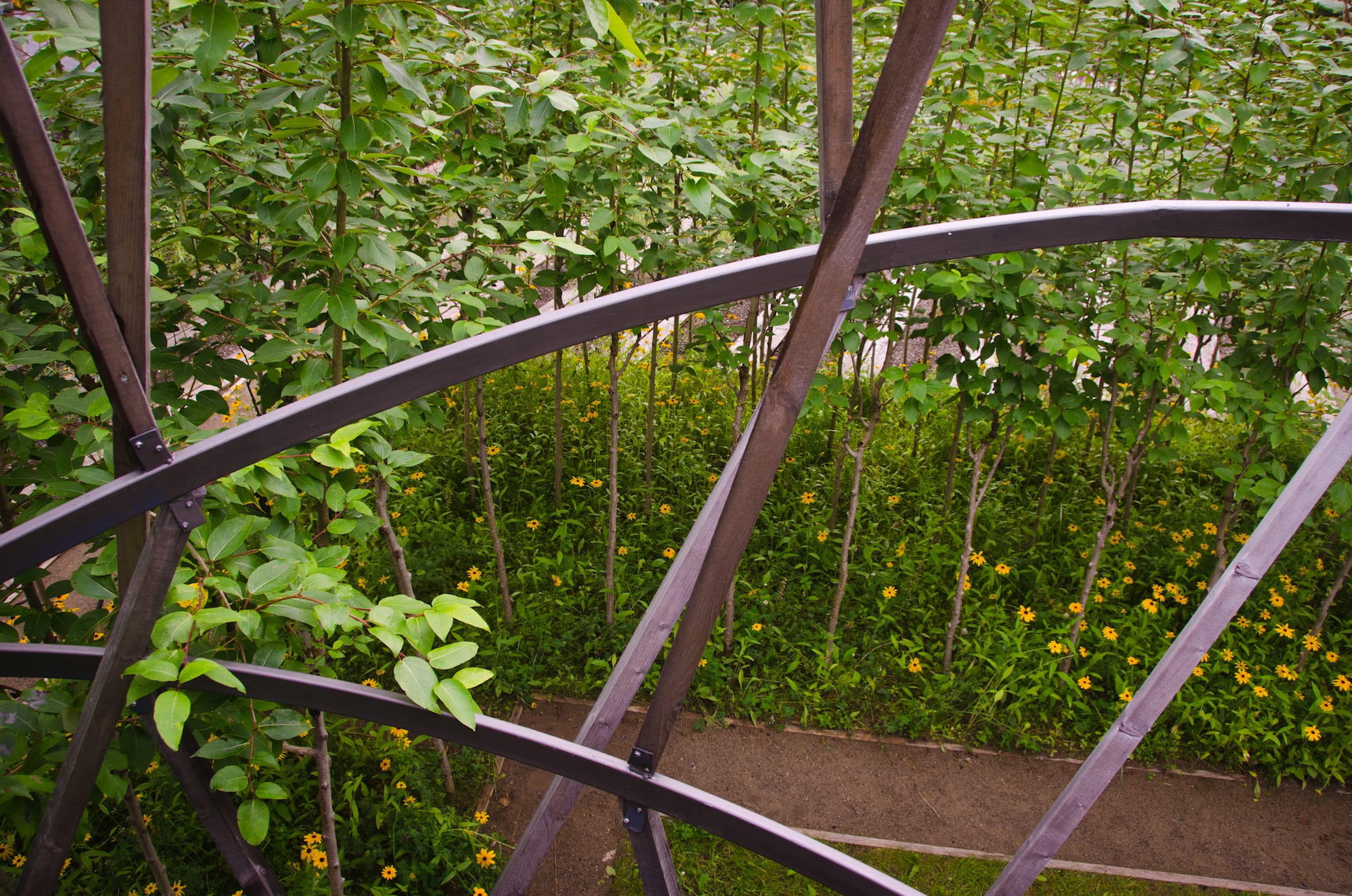 2019加拿大国际花园节(第二部分),Reford Gardens-94