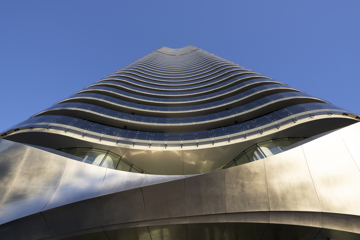 澳大利亚海滨有机住宅丨Contreras Earl Architecture-26