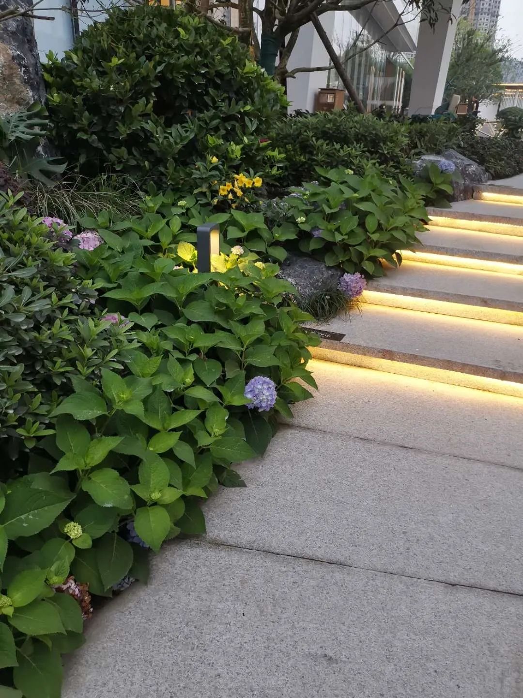 一叶行山海 | 大家天阳·榕华福邸-73