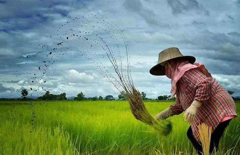 日本“空心村”的美术馆重生-20