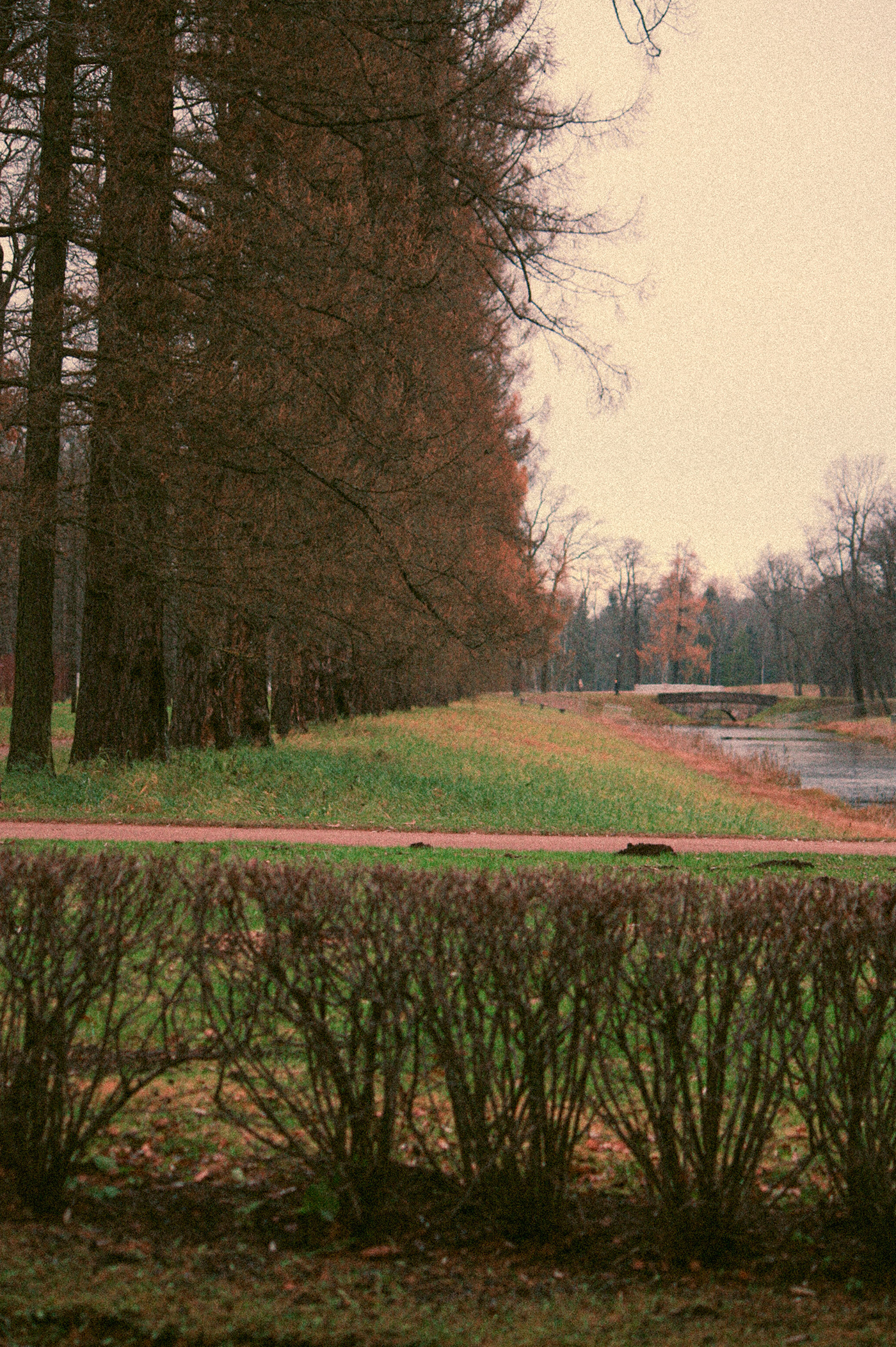 remnants of autumn in Pushkin-9
