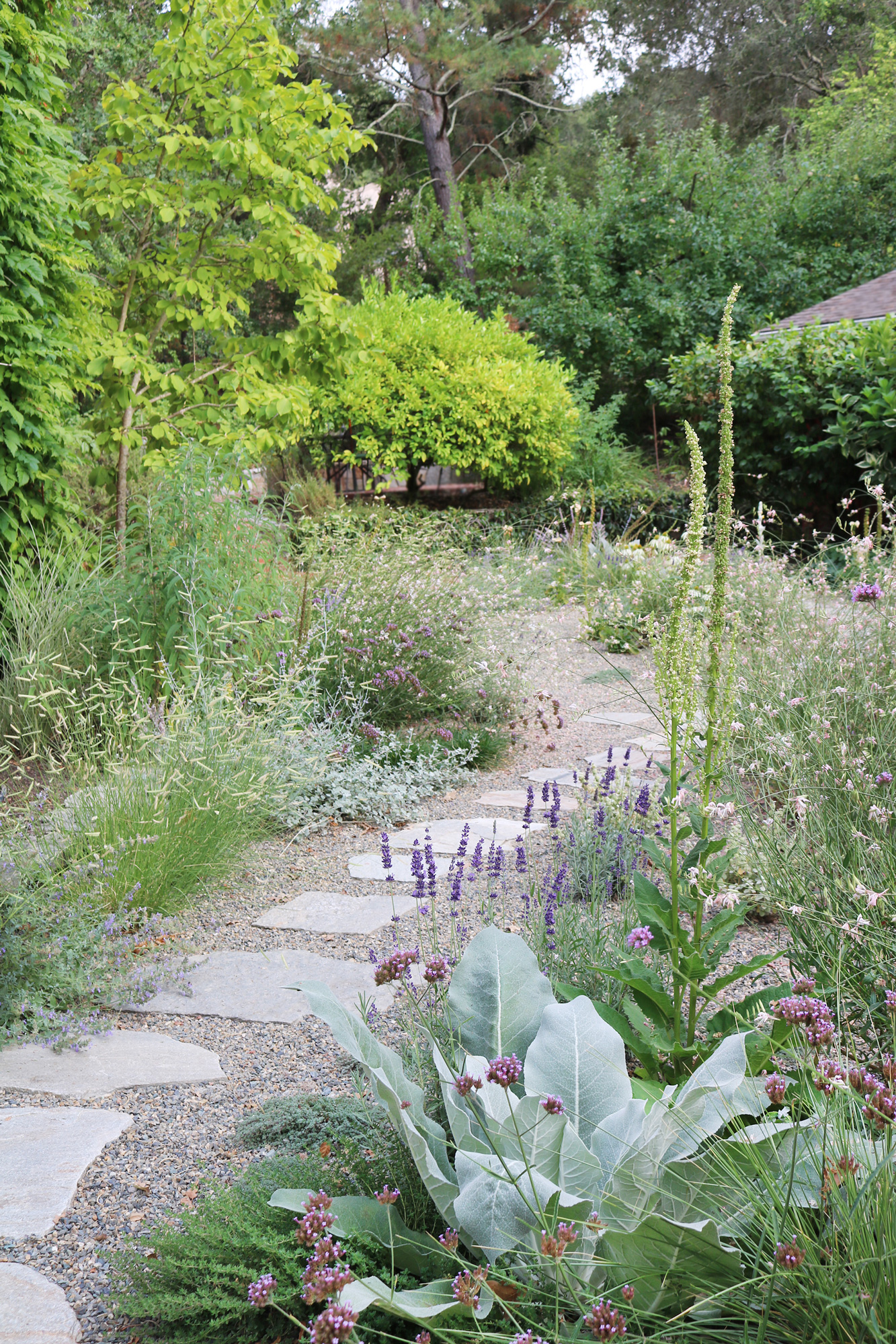 身边风景 | Soft Studio-114