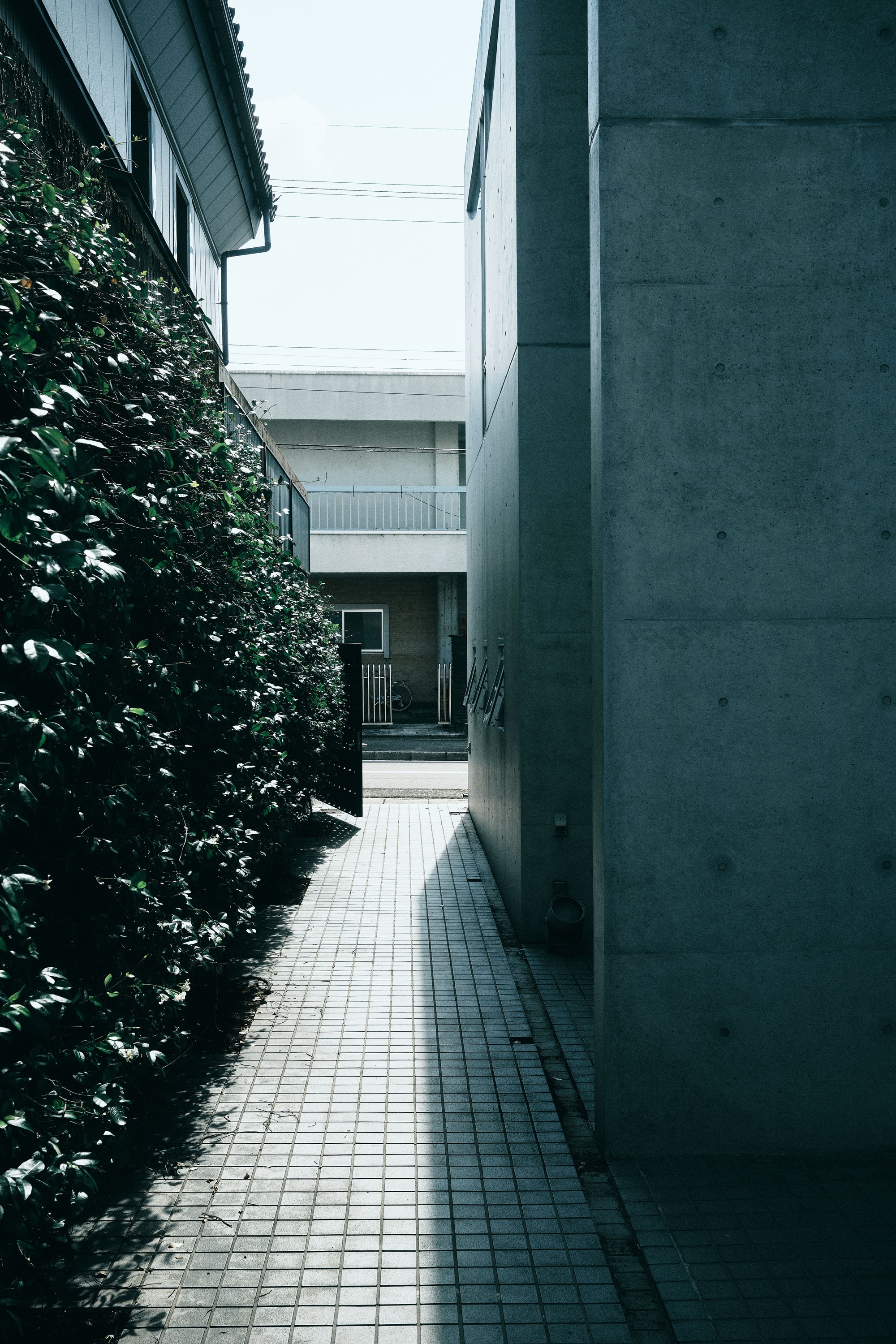 尼姆布斯咖啡馆和生活方式商店丨日本丨福井工业大学+LoHA-32