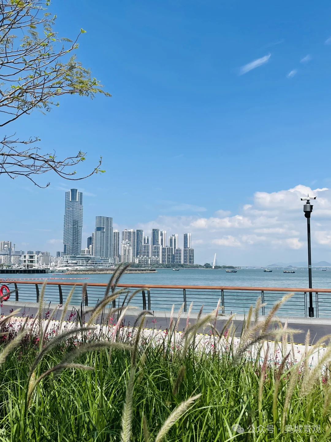 奥城景观||深圳•招商•太子湾K11项目景观工程-48