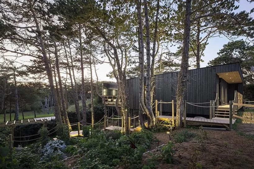 乡村松树树屋,与自然共生的设计奇迹-7