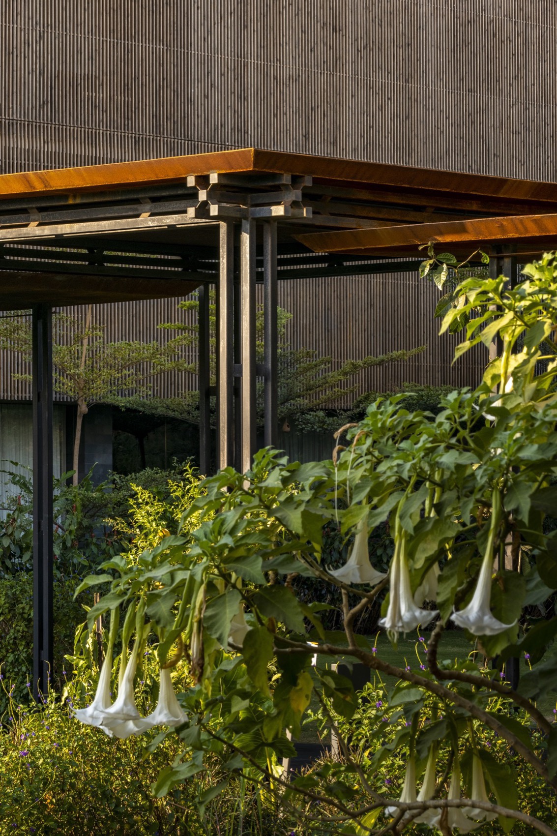 Radisson度假酒店及水疗中心丨印度丨Malik Architecture-34