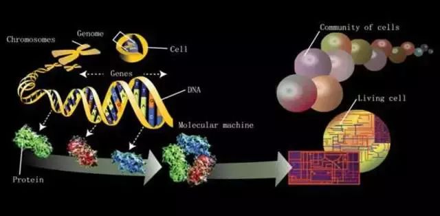 《Science》公布的 125 个最具挑战性的科学问题，你感兴趣的是哪个？-122