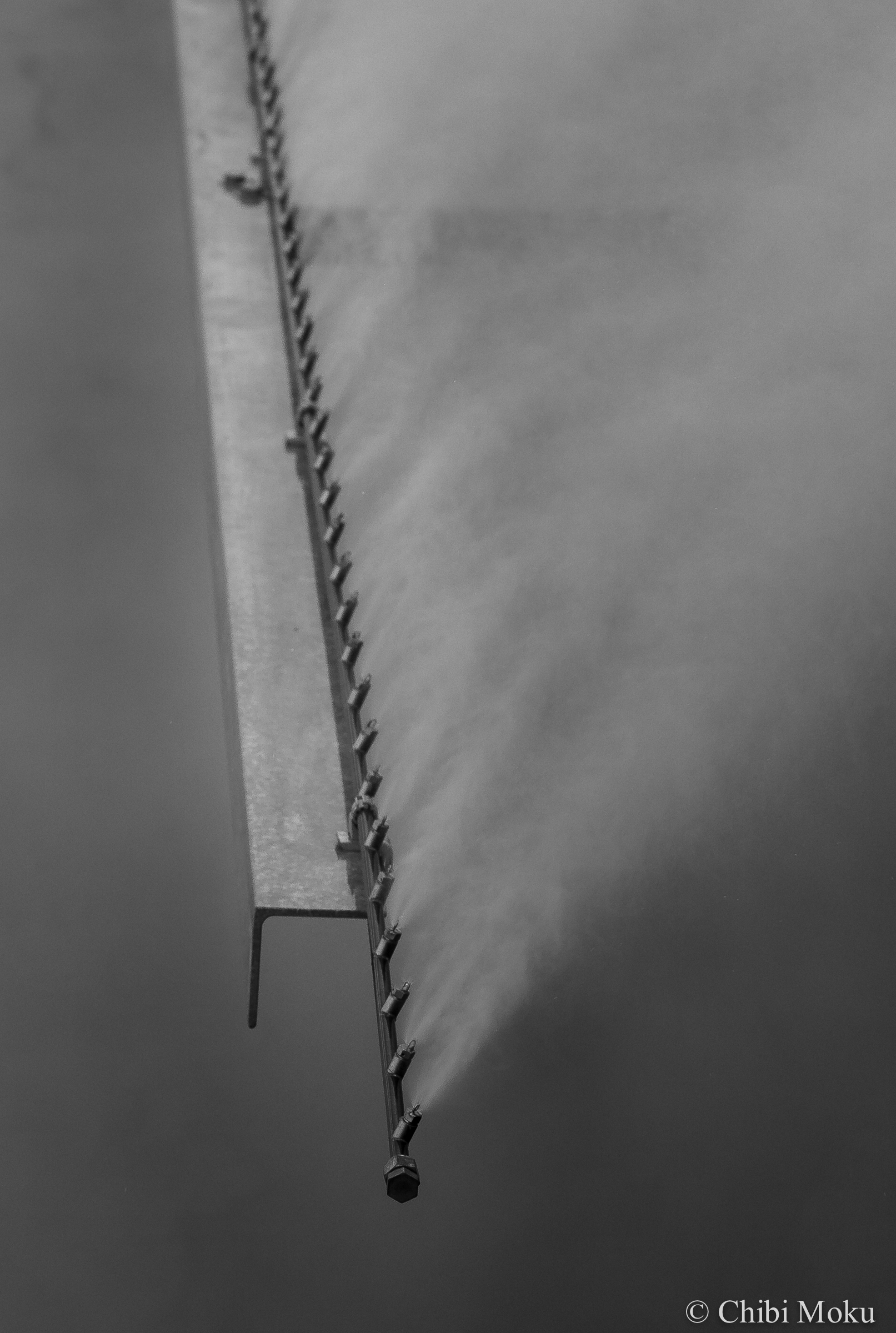 旧金山新建探索博物馆-24