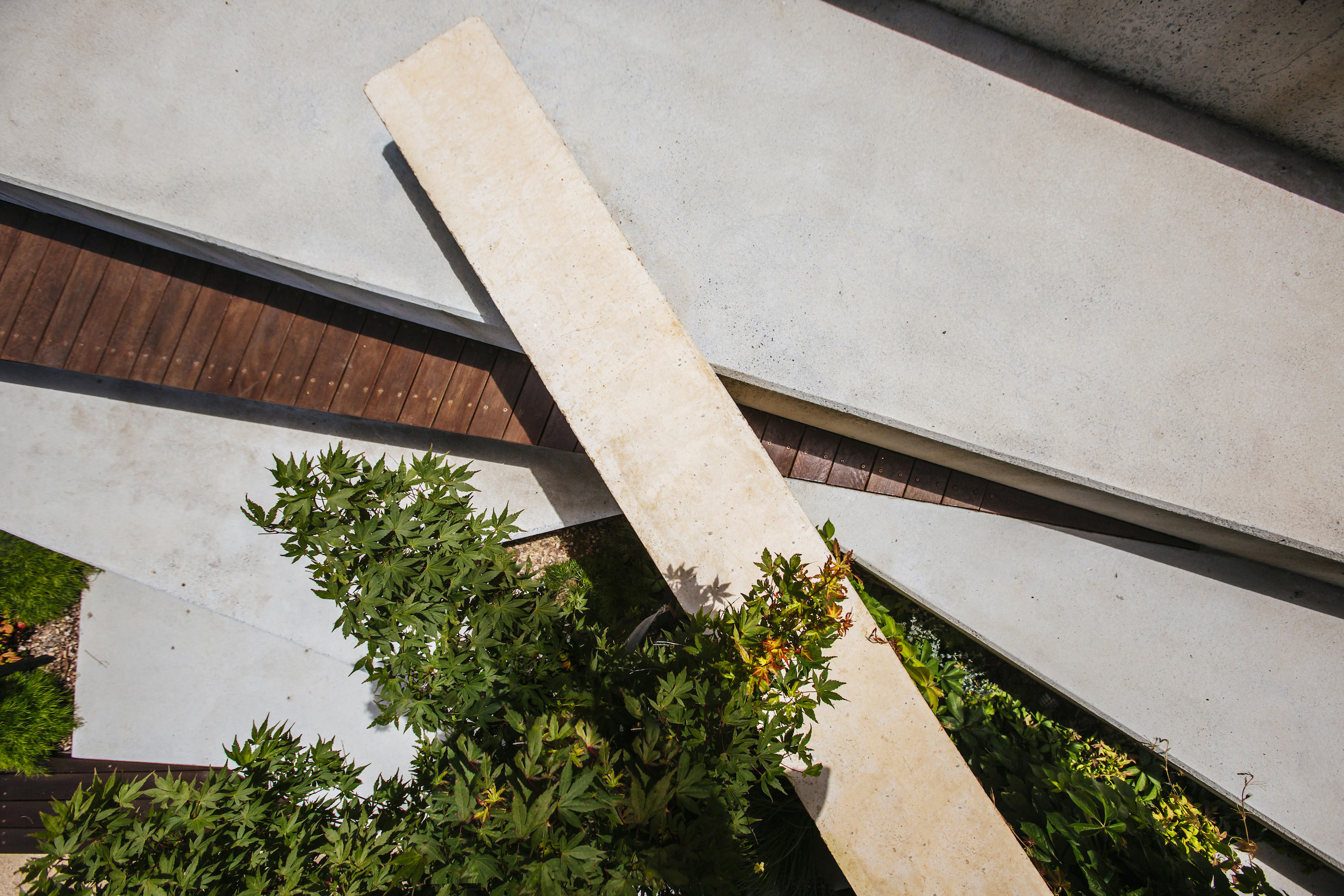 圣弗朗西斯泽维尔大学广场设计丨澳大利亚丨Orchard Design-2