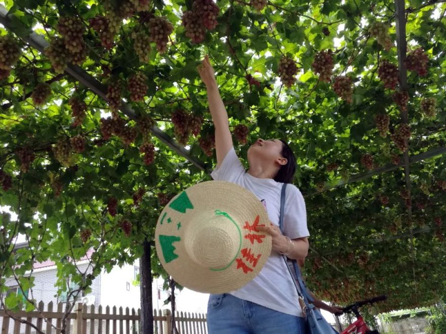 《大圩•龙熙•堤香》 | 旧物新生,打造自然人文空间-13