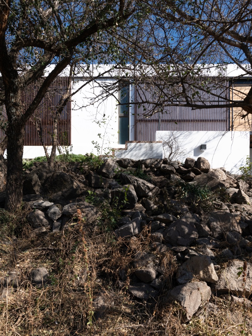 阿根廷山林中的简约住宅设计-23