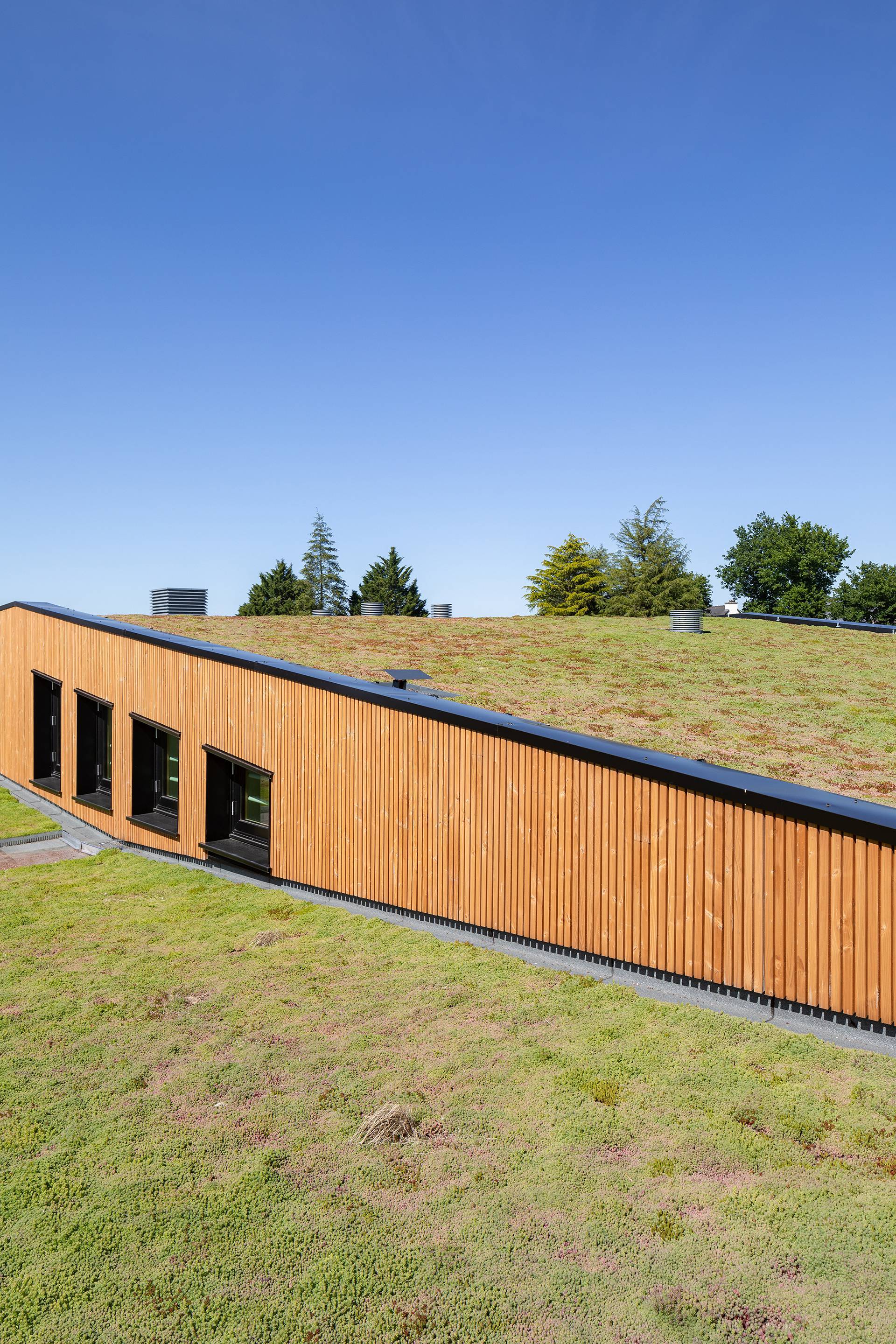 Rene Cassin 学校食堂丨法国丨Brulé Architectes Associés-27