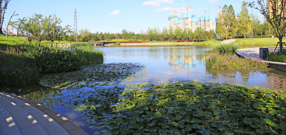 胶梦水韵(胶州三里河公园中央商务区段1标段)-154