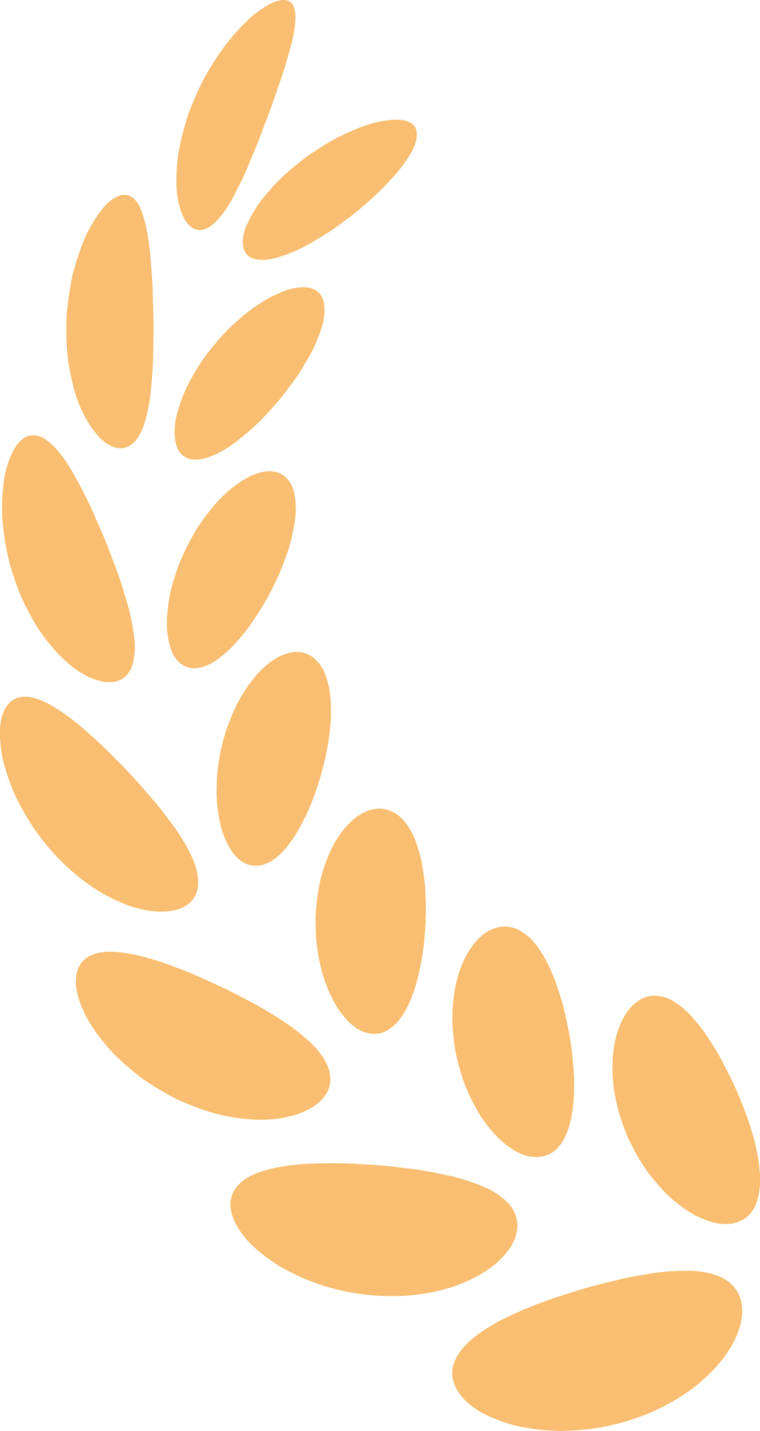 BAUD荣誉｜文物活化利用新成绩！BAUD北建大设计院两项保护利用工程荣获“2024年度北京市文物建筑活化利用”奖项-17