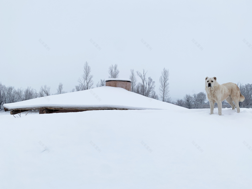 土耳其 Palanga Goat Shelter丨Erginoğlu & Çalışlar Architects-32
