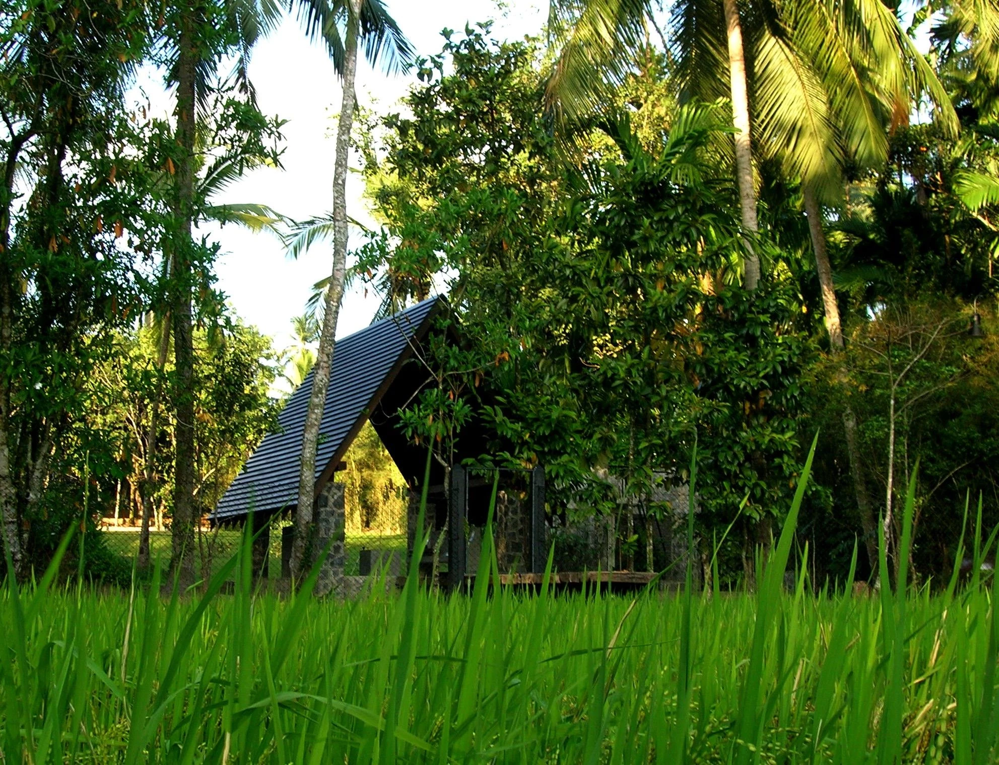 斯里兰卡“荆棘”庄园-32