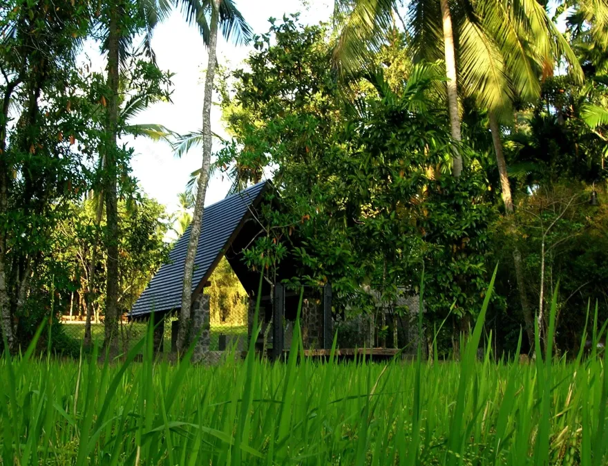 斯里兰卡“荆棘”庄园-32