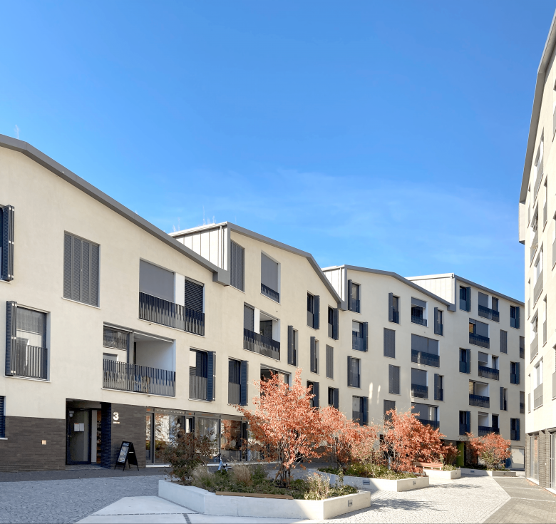 克洛斯杜堡米·住房丨瑞士丨Lemanarc SA-4