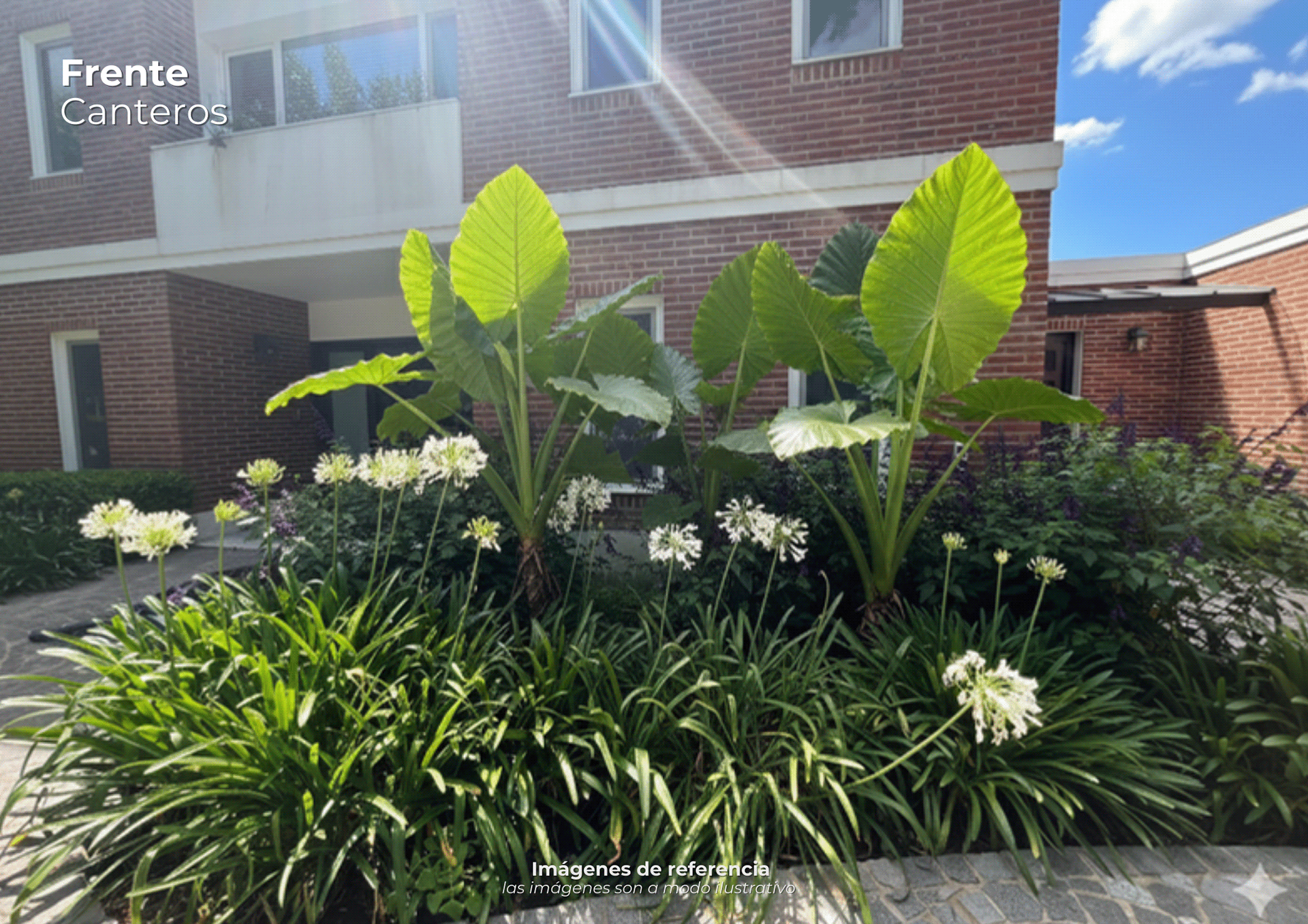 Multiespacio | Proyecto freelance-2