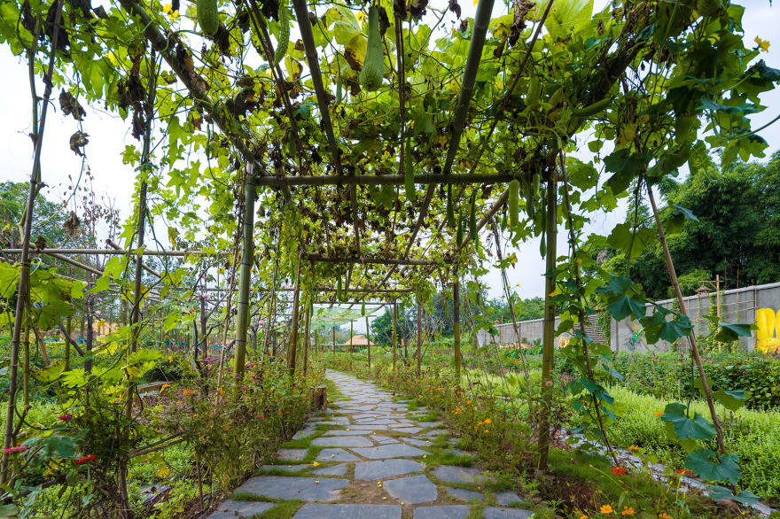 成都新希望种子乐园丨蓝海景观-142