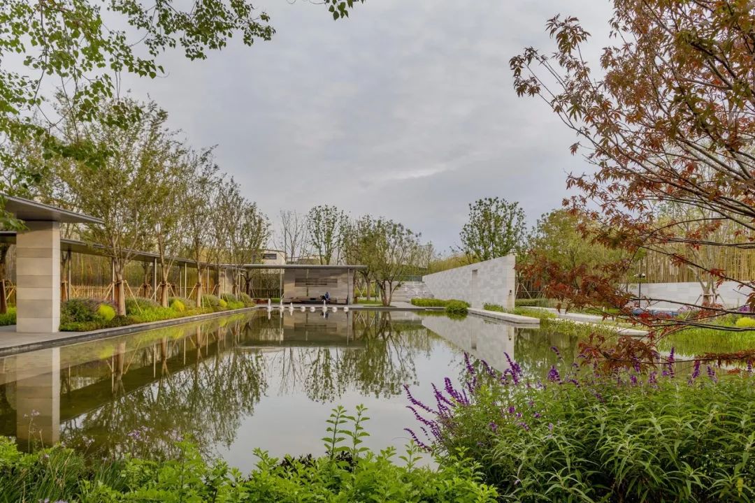 《雁归来》 | 水乡文化的现代解读-96