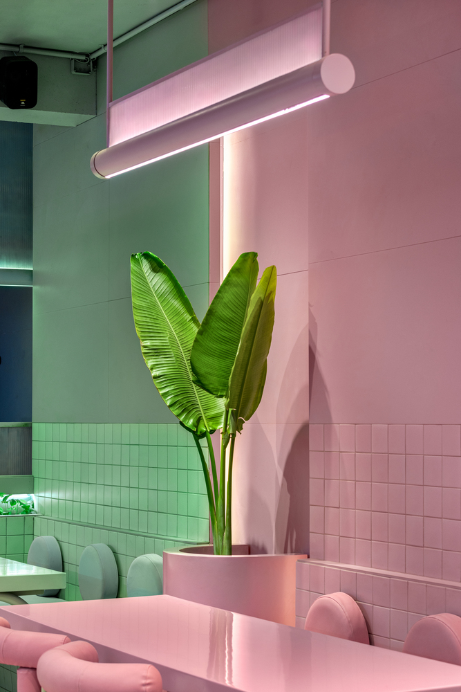 印度 Solan 市 Cosmo Deli & Bistro Bar丨Exubia Studio-36