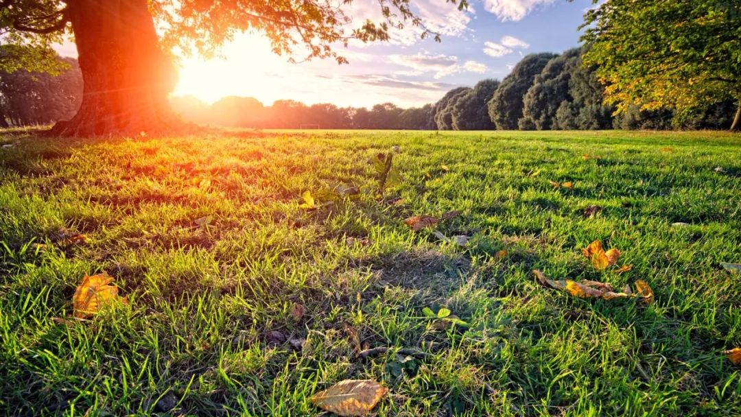 度假式休闲生活新篇章——东原·印江澜-6