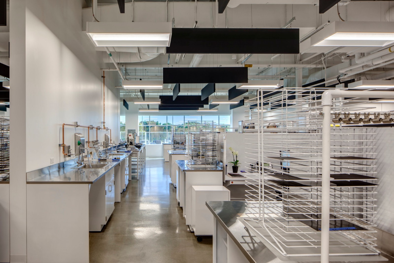 北美涂料供应商BEHR百色熊加州总部  H. Hendy Associates-12