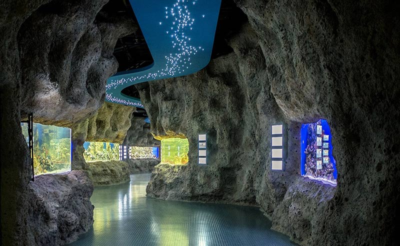 “Moskvarium”海洋馆丨俄罗斯莫斯科丨Aqua Logo Engineering-118