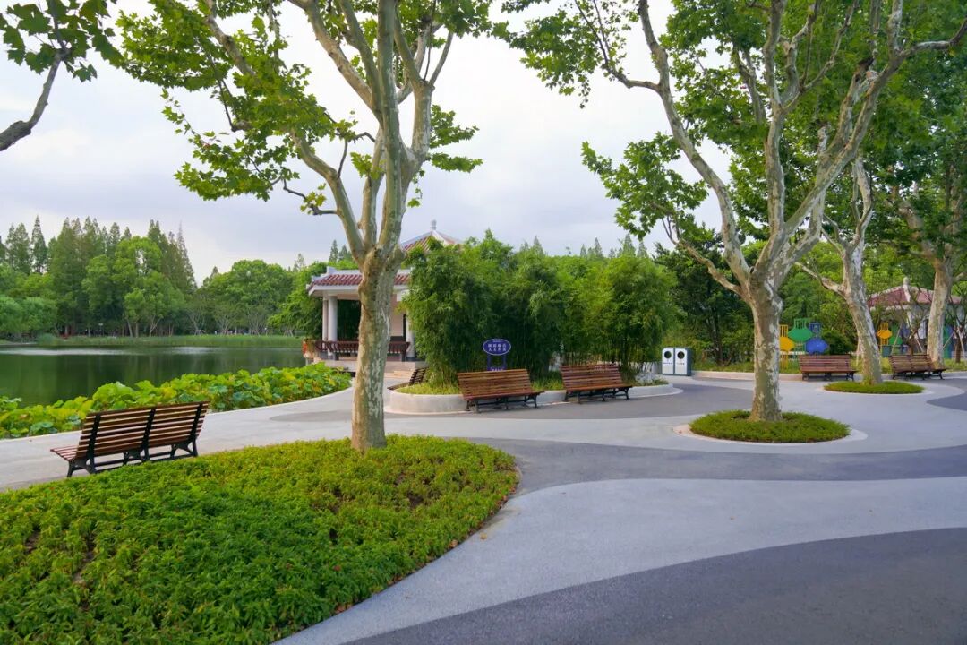 中国园林·理事专栏|“拓”之力量：杨浦公园改造纪实(三)-181