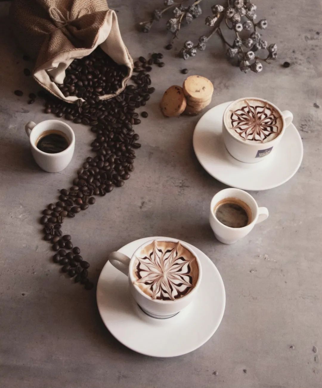 山水清韵，都市樊笼中的活力之美-43