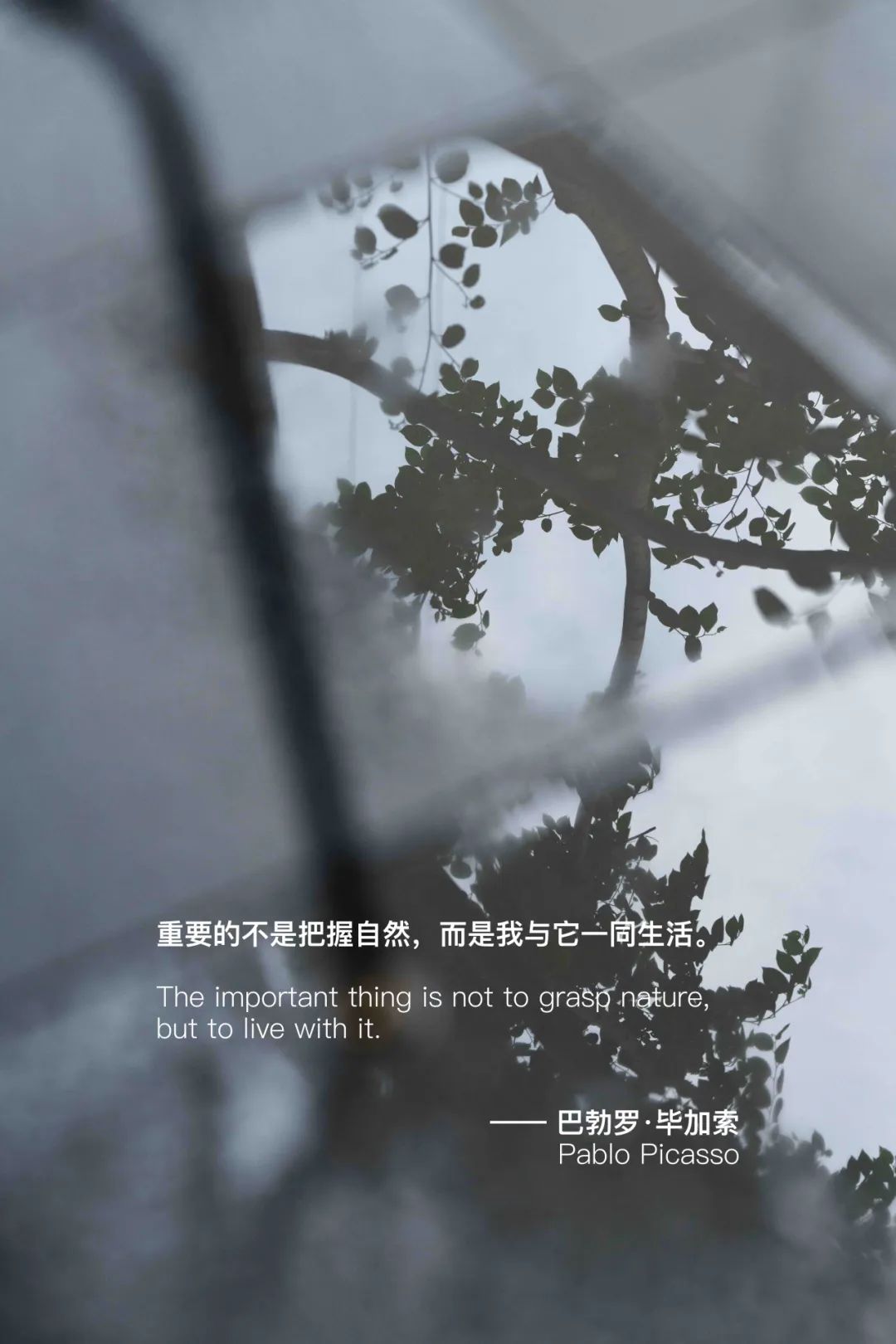 林间绿岛，人文雅居 | 深圳静安府-7