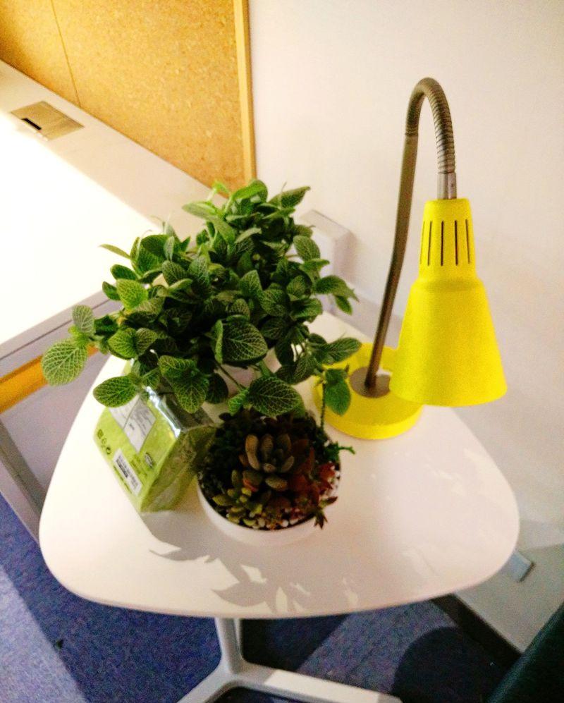 名敦道独立办公室项目 | 小空间大设计-11