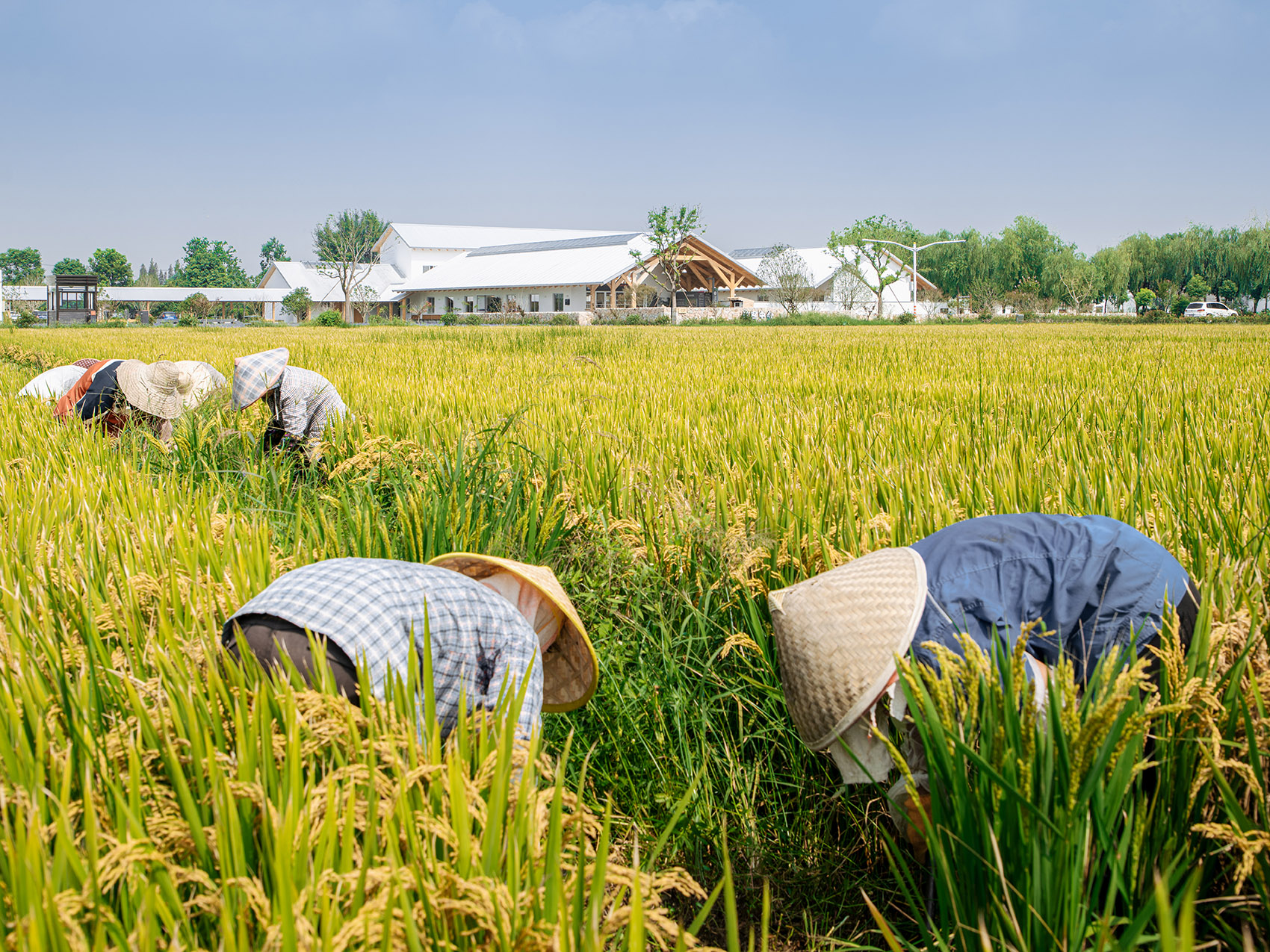 同济大学建筑与城市规划学院C楼丨中国上海丨彬蔚致正建筑工作室-167