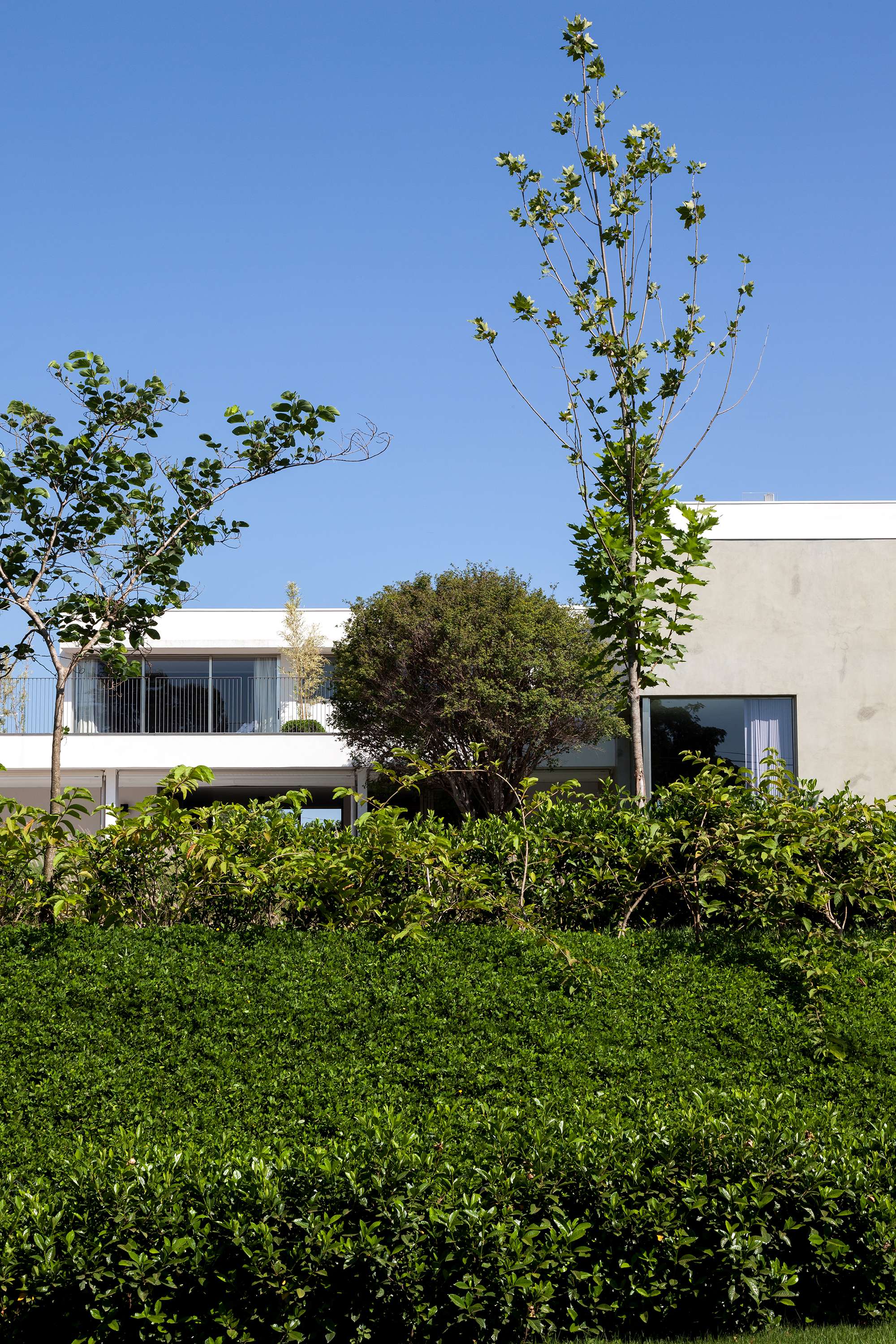 CASA DO BOSQUE _ ITÚ Consuelo Jorge-3